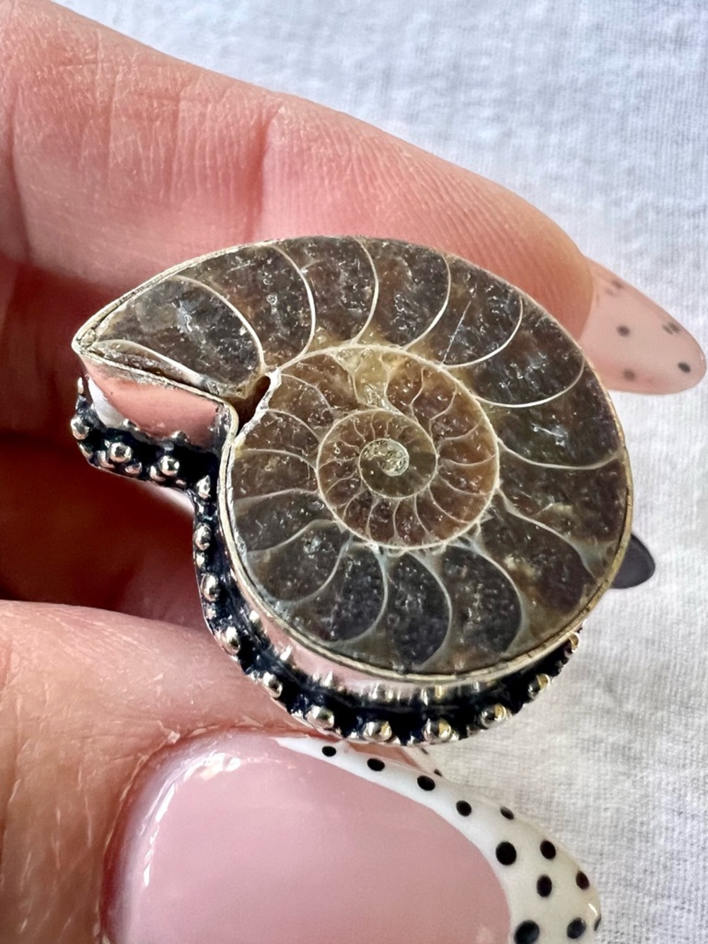 925 AMMONITE Fossil Past Lives Ring 9.5